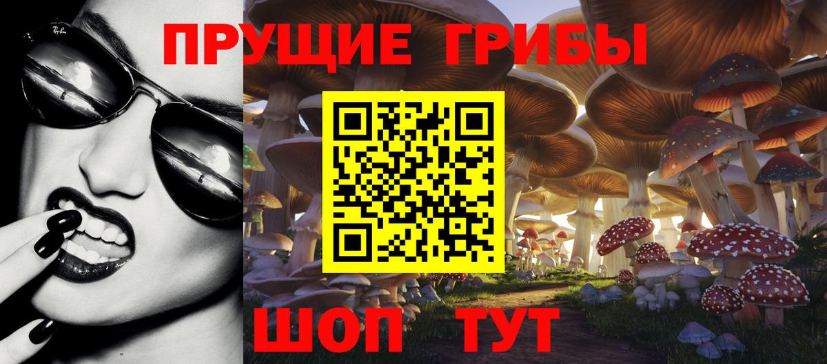 Галлюциногенные грибы Magic Shrooms Владивосток